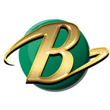 BUMI303 - Aplikasi Cek Mutasi Keuangan Terbaik